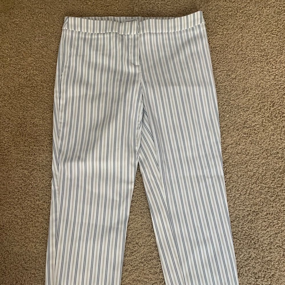 Ankle length dress pants